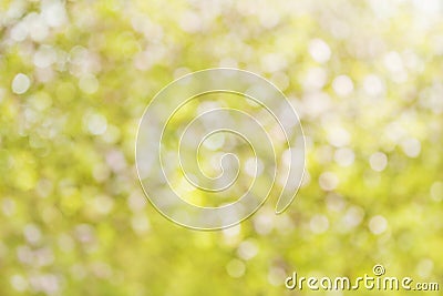 Colorful summer bokeh background in yellow tones. Stock Photo
