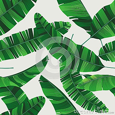 Colorful summer seamless tropical pattern with banana leaves Vector Illustration