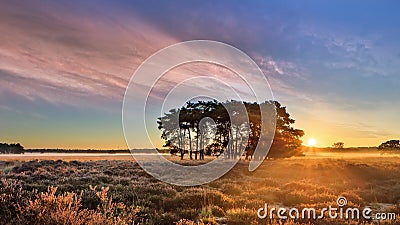 Colorful sunrise with dramatic clouds at Regte Heide heath land, Netherlands Stock Photo