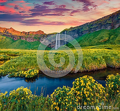 Colorful sunrise on Seljalandsfoss - where tourists can walk behind the falling waters Stock Photo