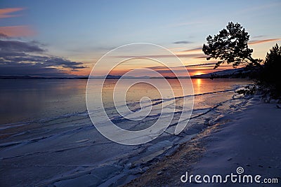 Colorful sunset on the frozen lake Baikal. Clean ice with cracks, pine tree on the shore. W Stock Photo