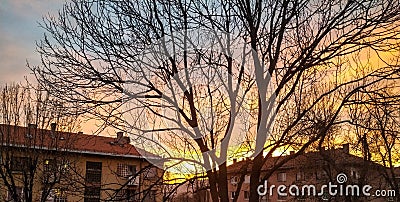 Colorful sunshine sky in the suburbs with a building and tree in the nature on a sunny inspiring beautiful day Stock Photo