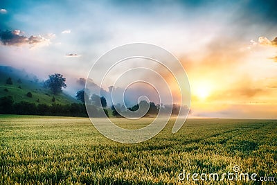 Colorful, surreal sunrise at the misty, foggy meadow Stock Photo