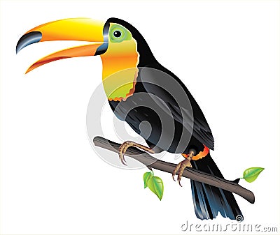 Colorful toucan bird perched on a branch Vector Illustration