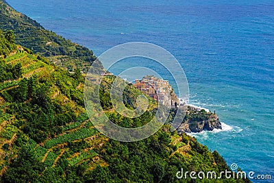 Colorful traditional houses on the rock over Mediterranean sea, Manarola, Cinque Terre, Italy Stock Photo