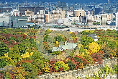 Colorful tree leaf and modern building around Osaka Castle, Japan, November, 2017 Editorial Stock Photo