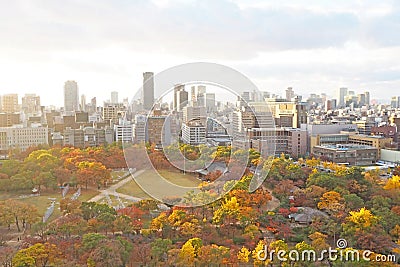 Colorful tree leaf and modern building around Osaka Castle, Japan, November, 2017 Editorial Stock Photo