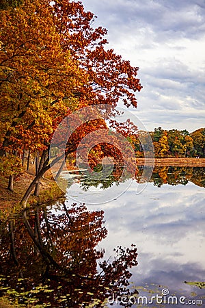 Colorful trees on the Charles River in Autumn Stock Photo