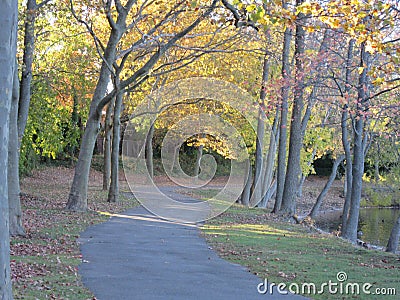 Colorful trees Stock Photo