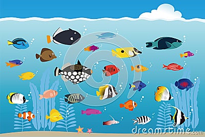 Colorful tropical fishes swimming in the sea Stock Photo