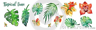 Colorful tropical leaves and flowers watercolour on white background. Watercolour prints. Decoration elements. Cartoon Illustration