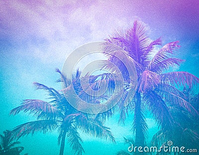 Colorful tropical palm trees against the sky Stock Photo