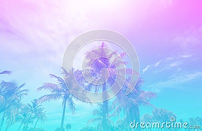 Colorful tropical palm trees background. Stock Photo