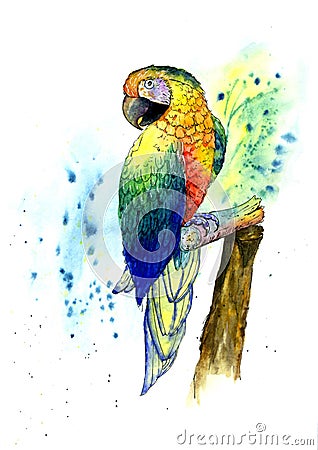 Colorful tropical parrot on a branch. Painted in watercolor Stock Photo