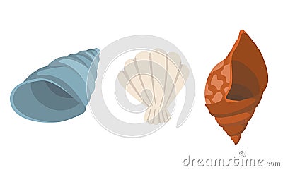 Colorful tropical sea shells underwater icon collection. Marine set cute stickers on the white background. Vector Vector Illustration