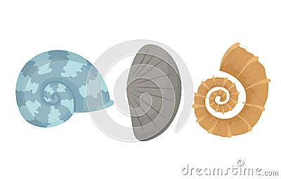 Colorful tropical sea shells underwater icon collection. Marine set cute stickers on the white background. Vector Vector Illustration