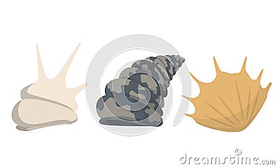 Colorful tropical sea shells underwater icon collection. Marine set cute stickers on the white background. Vector Vector Illustration