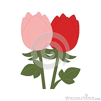 Colorful Tulip flower with branch and leaves Vector Illustration