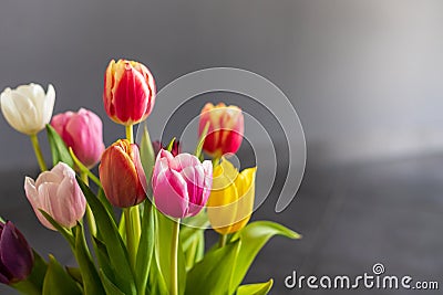 Colorful tulip flowers as greeting card. Mothersday or spring concept Stock Photo