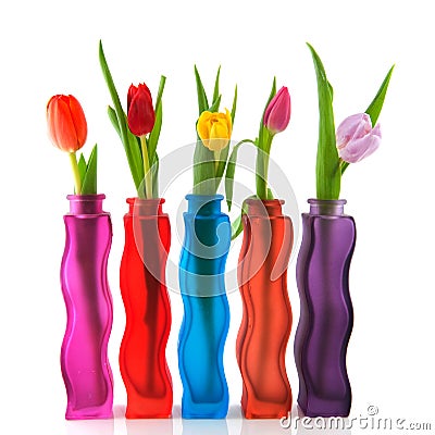 Colorful tulips Stock Photo