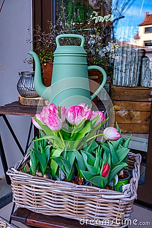 Colorful tulips bouquet Stock Photo