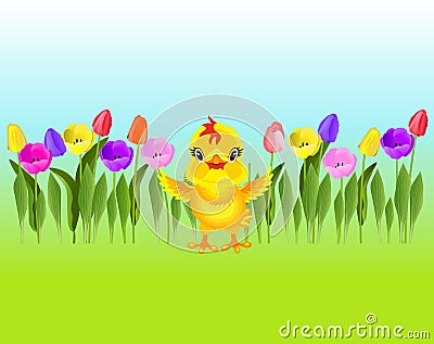 Colorful tulips and chicken on background of sky and grass. Vector Illustration