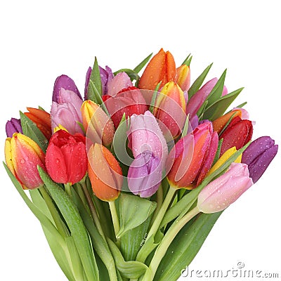 Colorful tulips flowers bouquet in spring or mother's day isolat Stock Photo