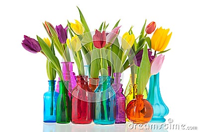 Colorful tulips in glass vases Stock Photo