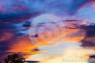 Colorful twilight sky after rain on evening time during sunset behind a tree silhouette. Stock Photo