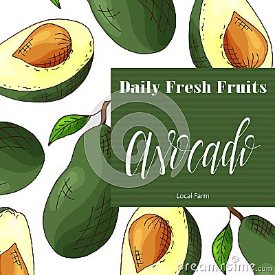 Colorful vector illustration. Food design with fruit. Hand drawn sketch of avocado. Organic fresh product for card or poster Vector Illustration