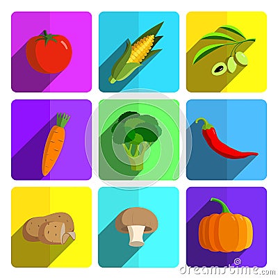 Colorful Vegetable Icon Set on Bright Background Vector Illustration