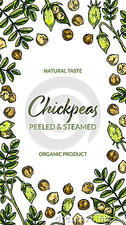 Colorful vertical chickpeas design. Hand drawn illustration in colored sketch style. Botany design for packaging, label, banner, Vector Illustration