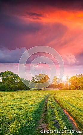 Colorful vertical panorama of the spring meadow with country road Stock Photo
