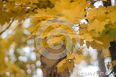 Bright and colorful autumn landscapes Stock Photo