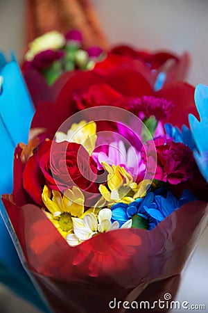 Vibrant bouquet of flowers. Stock Photo