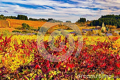 Colorful vineyards and landscape in European village. Stock Photo