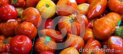 Colorful vintage Heirloom tomatoes Stock Photo