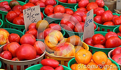 Colorful vintage Heirloom tomatoes vegetable Stock Photo