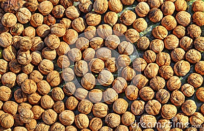 Colorful walnuts background Stock Photo