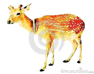 Colorful watercolor hand-painted art illustration : deer / reindeer Cartoon Illustration