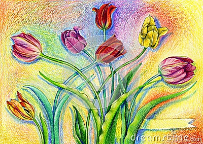 Colorful watercolor pencils tulips on artistic background Stock Photo