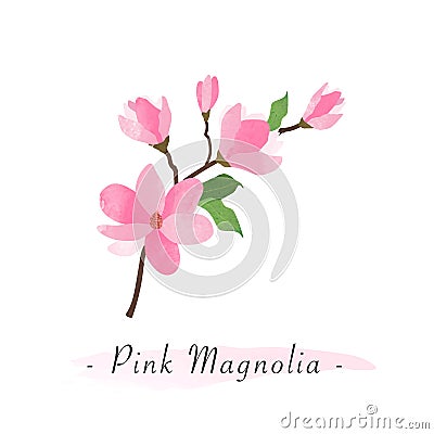 Colorful watercolor texture vector botanic garden flower pink ma Vector Illustration