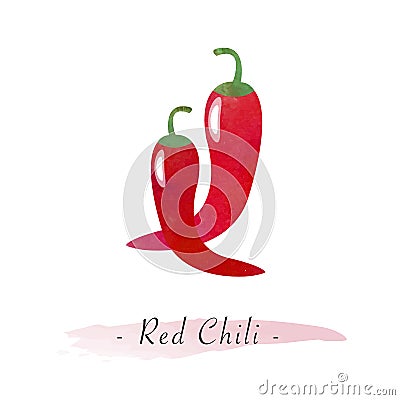 A Colorful watercolor texture vector healthy vegetable red chili Vector Illustration