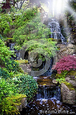 Colorful waterfalls in dutch garden 'Keukenhof' Stock Photo