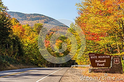 Colorful White mountain National forest in autumn, New Hampshir Stock Photo