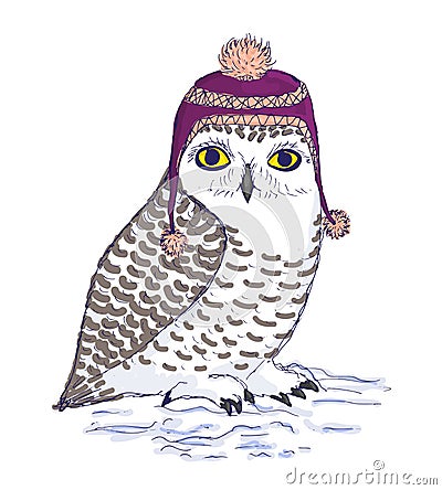 Colorful white owl in purple hat with pompon. Vector Illustration