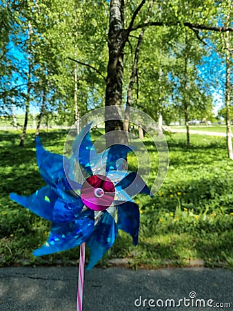 Colorful wind spinner toy in front of trees. Pinwheel in motion. Ecological kids` toy Stock Photo