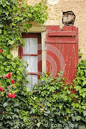 Colorful window surrounded by ivy. Chenonceaux. France Stock Photo