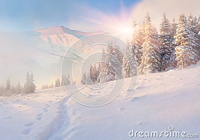 Colorful winter morning in mountains Stock Photo