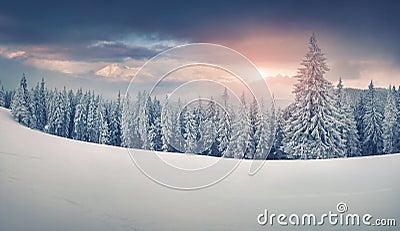 Colorful winter panorama of snowy mountains. Stock Photo